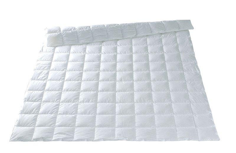 Leicht-Duvet Daunen, EIDERDAUNEN Leicht-Duvet Daunen, EIDERDAUNEN