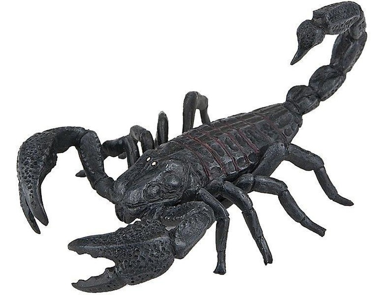 Skorpion
