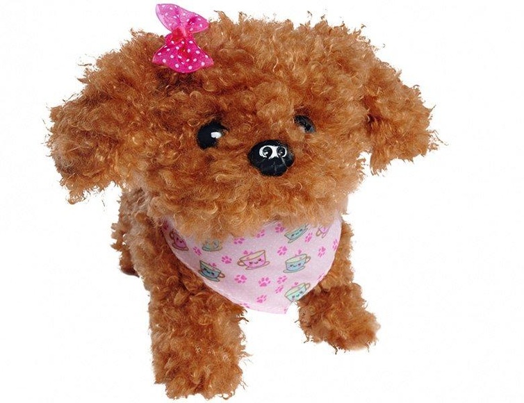 ChiChi Love Tea Cup Poodle Puppy