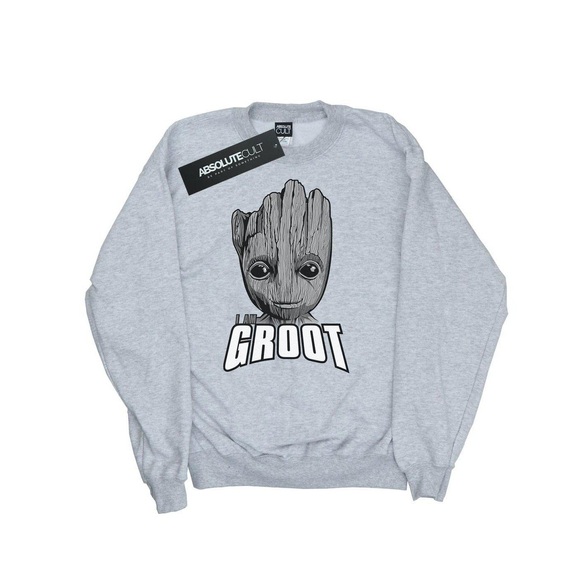 Guardians Of The Galaxy Groot Face Sweatshirt Unisex Grau 152-158