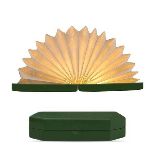 Home - Neonlampe Book light - Dunkelgrün