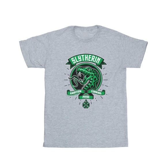 Slytherin Toon Crest Baumwollboyfriend Tshirt Damen Grau XL