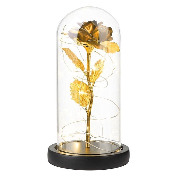 Unsterblichen Rosen mit Lichterketten Unsterblichen Rosen mit Lichterketten