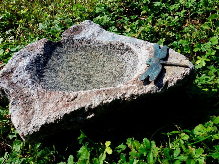 Bronze Libelle Vogeltränke