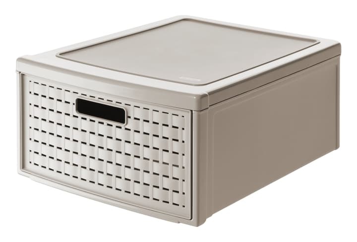Rotho Schubladenbox COUNTRY Gross
