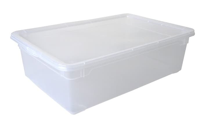 Rotho Clear Box Boots Aufbewahrungsbox