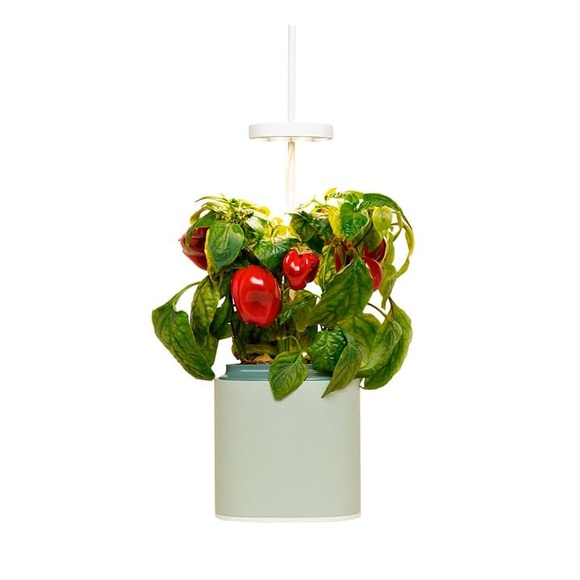 Prêt à Pousser Nano Indoor-Kräutergarten