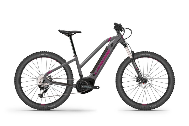 Lapierre Overvolt HT 5.5 Mix 29' E-Mountainbike (Hardtail) grau