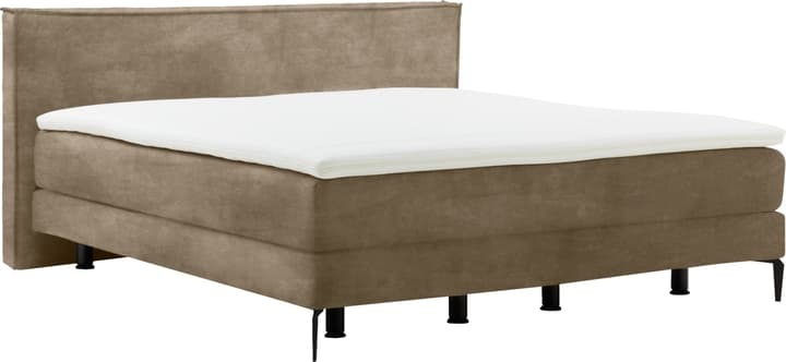 Boxspringbett NAVIER