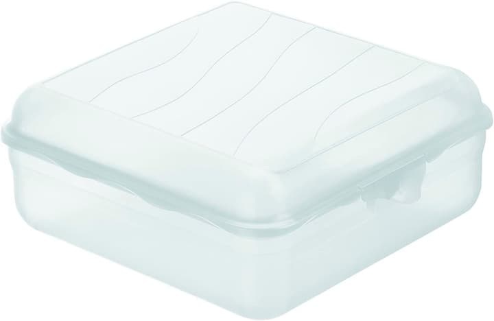Rotho FUN Lunchbox Snackbox