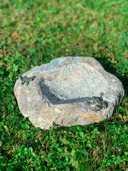 Frosch und Eidechse Vogeltränke