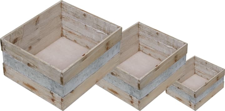 Holzkisten Set, 3 Stk. Kiste