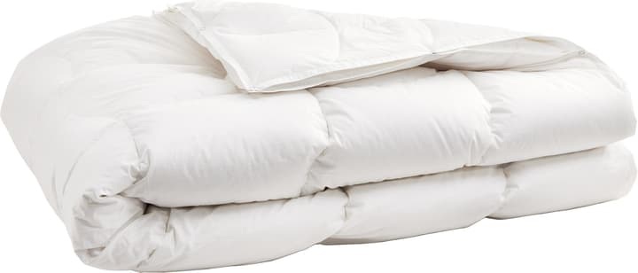 Hochwertiges 4-Saison Duvet mit 90% Gänsedaunen und Milbenschutz SANADAUN 4-saisons, Micasa