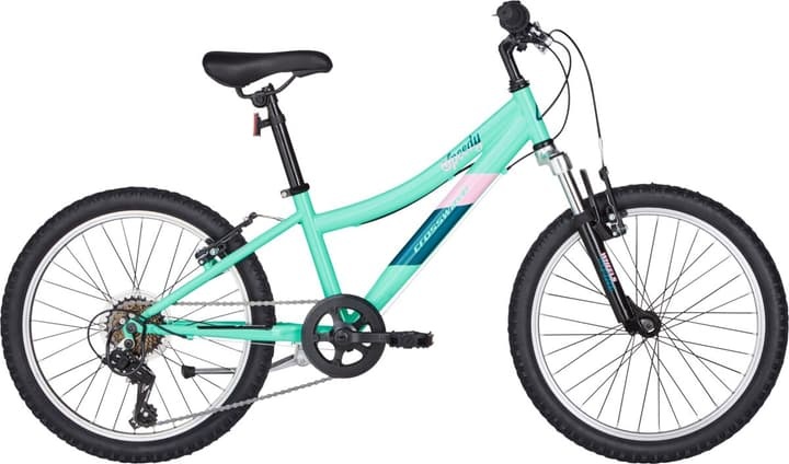 Crosswave Speedy 20' Kindervelo hellblau