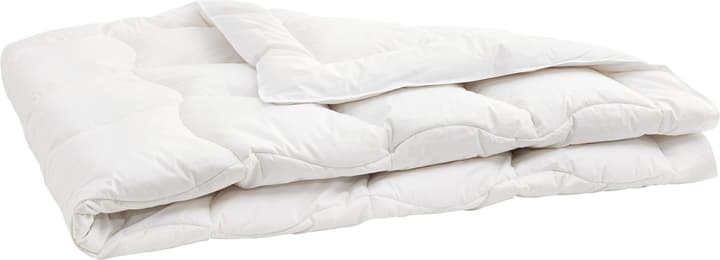 Daunen/Gänsedaunen-Duvet SANADAUN medium warm
