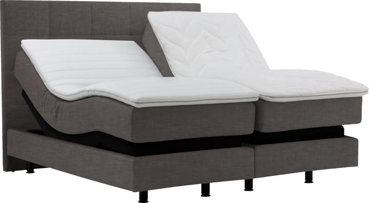 Boxspringbett NAVIER