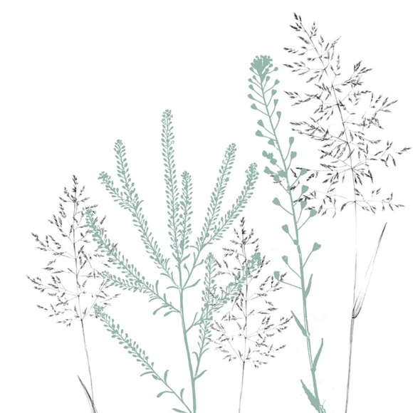 Feldner + Partner Simple Elegance Servietten