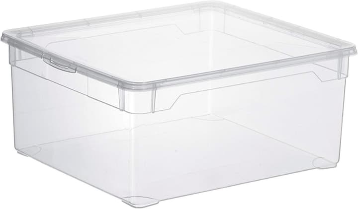 Rotho Clearbox MenShoe 10 l Aufbewahrungsbox