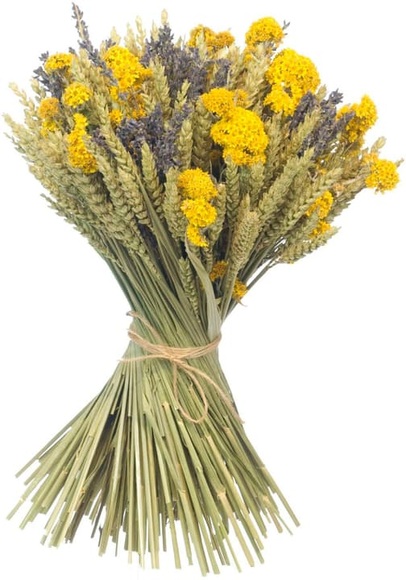 Anjel Trockenblumen in Kartonbox Gelb/Blau