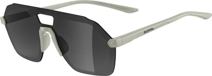 Alpina Beam I Sonnenbrille grau 2022 Sonnenbrillen