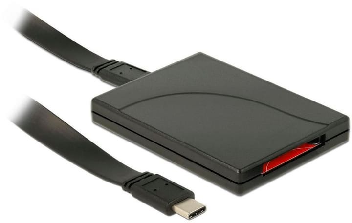 Delock USB Typ-C CFexpress Kartenleser