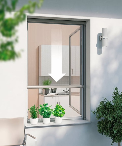 WINDHAGER Fliegengitter Rollo PLUS FENSTER