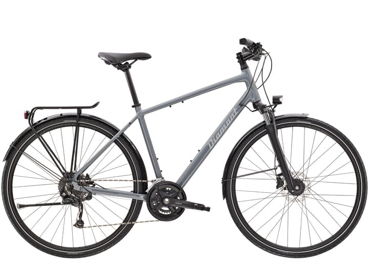 Diamant Elan Deluxe Trekkingbike grau