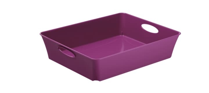 Rotho LIVING Box/Formularschale, Kunststoff (PP) BPA-frei, violett, C5/DIN A5 Korb