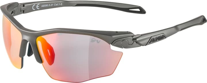 Alpina Twist Five HR QVM+ Brille grau 2022 Brillen