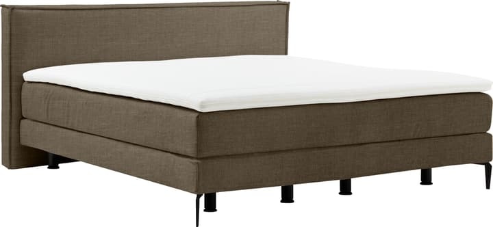 Boxspringbett NAVIER