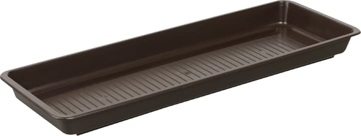 Testrut - Untersetzer für Blumenkasten 80 cm - Braun