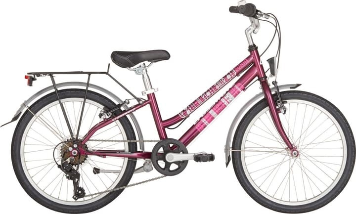 Crosswave Sunny 20' Kindervelo