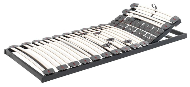 Einlegerahmen ERGO III Standard, bico