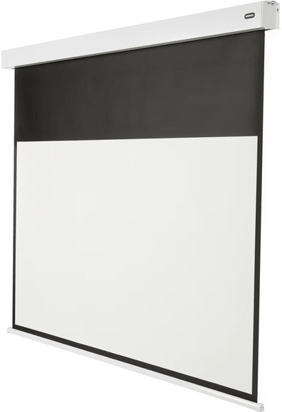 Celexon Professional Plus Projektionsleinwand 109,2 cm (43 Zoll) 16:9
