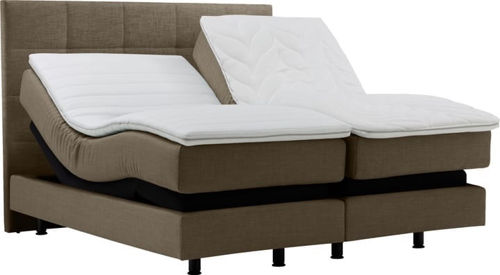 Boxspringbett NAVIER