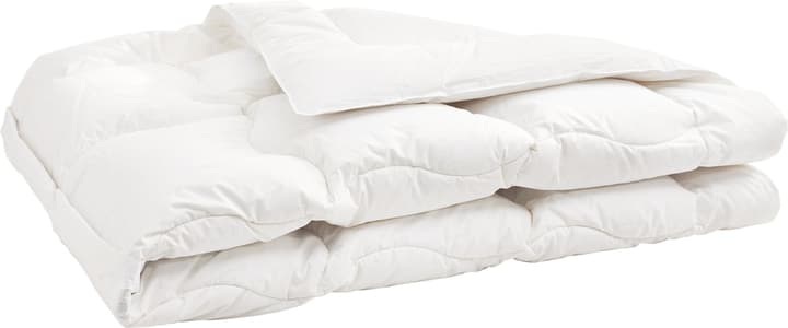 Sehr warmes hochwertiges Duvet mit 90% Gänsedaunen und Milbenschutz SANADAUN warm, Micasa