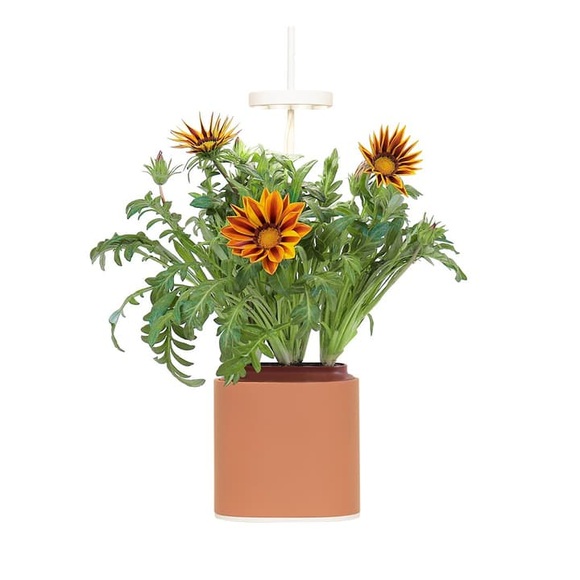Prêt à Pousser Nano Ceramic Indoor-Kräutergarten