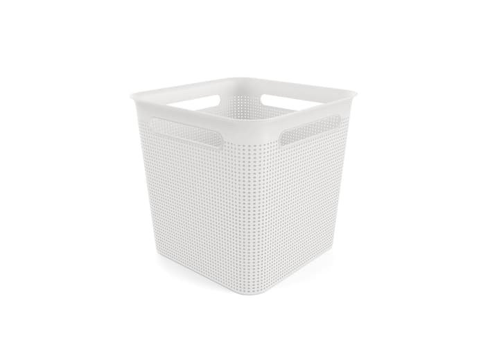Rotho Aufbewahrungsbox BRISEN 18 l