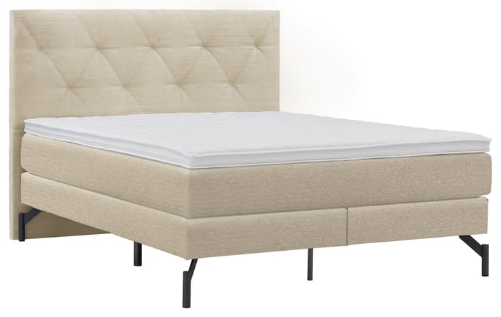 Boxspring MODERN, HASENA