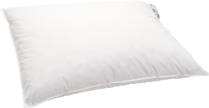 Federn-Kopfkissen MEZZO soft