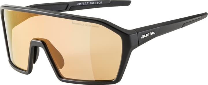 Alpina RAM HVLM+ Sonnenbrille - Black Matt Mirror Red
