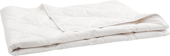 Leichtes Wildseidenduvet SEDA light, Micasa
