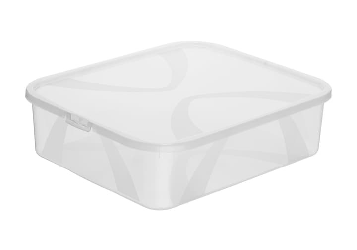 ROTHO - Aufbewahrungsbox ARCO - Kunststoff - transparent - 35.1/42/11.2 cm