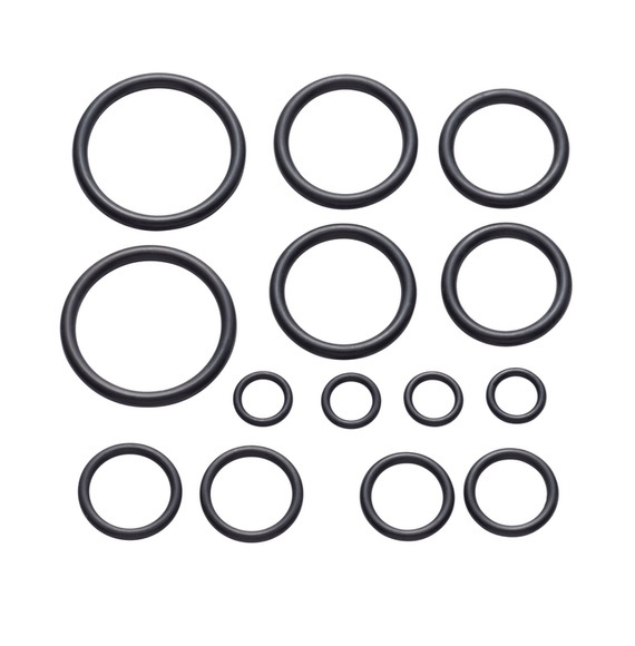 diaqua O-Ringe 70° Shore