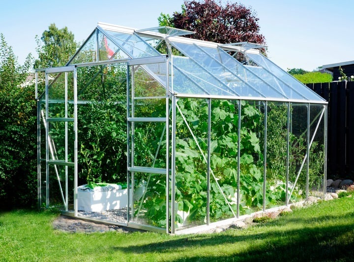 VITAVIA Uranus 9900 Gewächshaus