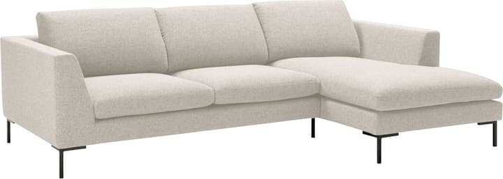 Ecksofa NEWTON