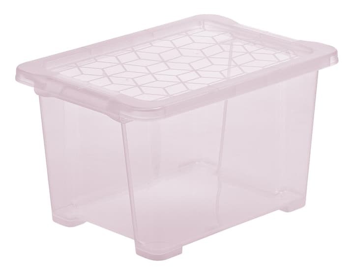 Rotho EVO EASY Box 15 l mit Deckel Aufbewahrungsbox