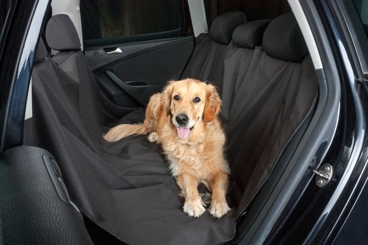Miocar Hundedecke 145x165CM Sitzauflage
