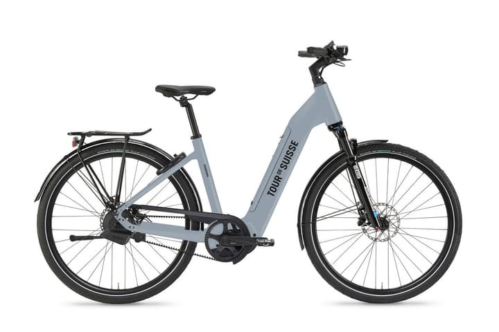Tour de Suisse Charisma 25 Mono E-Bike titan