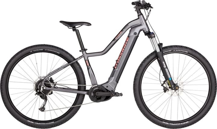 Crosswave Stone 3.9 29' E-Mountainbike (Hardtail) anthrazit